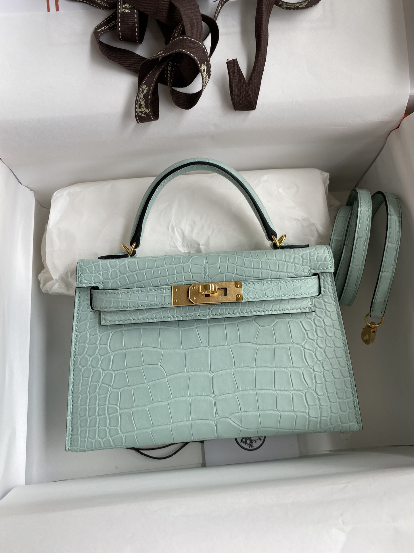 Hermes Kelly Mini II Bag 19CM In Vert D'eau Matte Alligator Leather